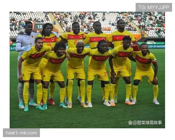 非洲杯主办权争议升级，各方立场激烈交锋引关注